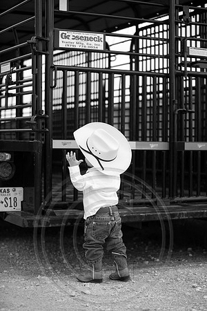 IMG_9661bw