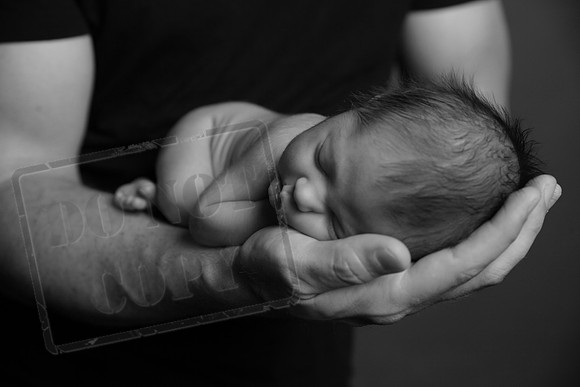 IMG_0993bw