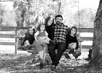 5V3B8339bw