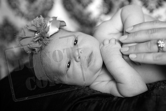 IMG_1428bw
