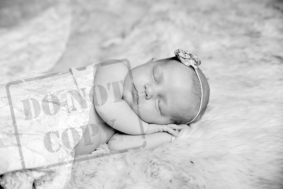 IMG_1705bw