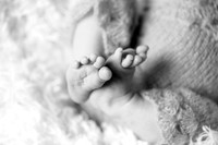 IMG_1592