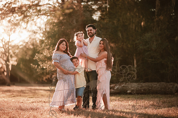 Maternity (62)