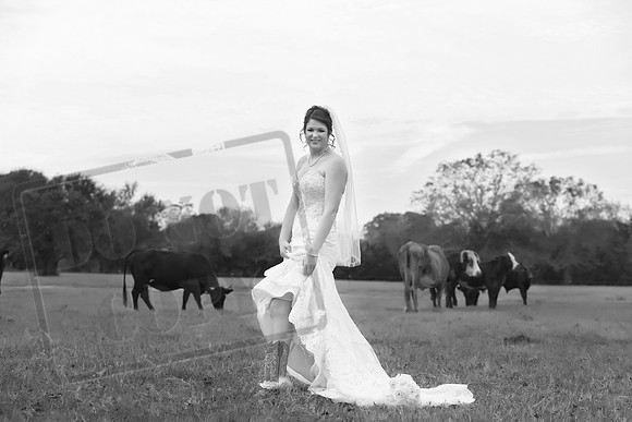PreCeremony (112)