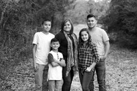 5V3B8917bw