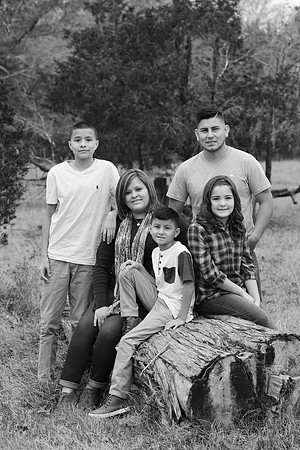 5V3B8950bw