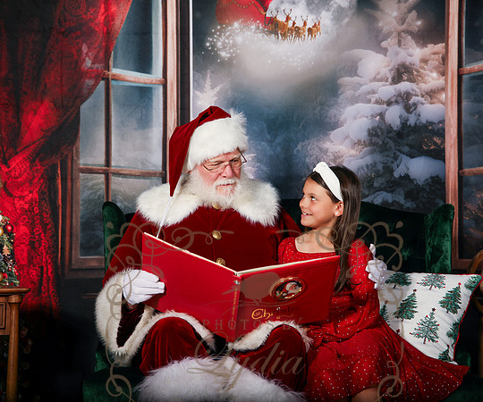Santa-290