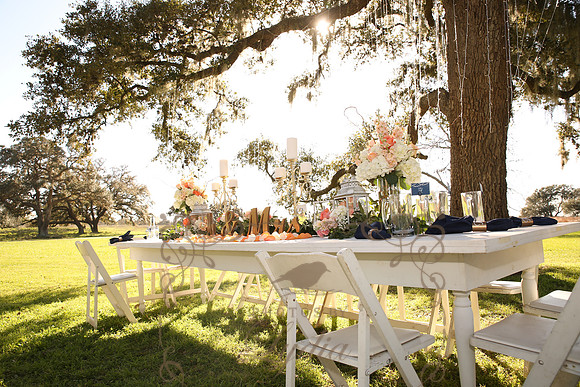Decor (20)