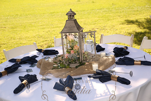 Decor (25)