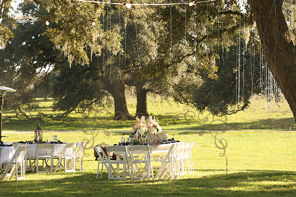 Decor (43)