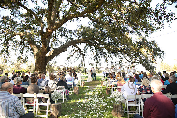 Ceremony (62)