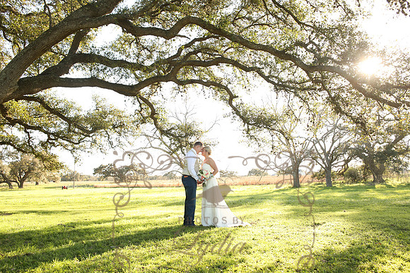 Bride & Groom (12)
