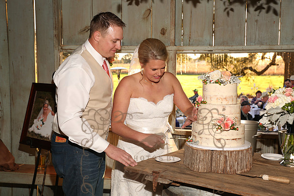 Cake & Toasts (5)