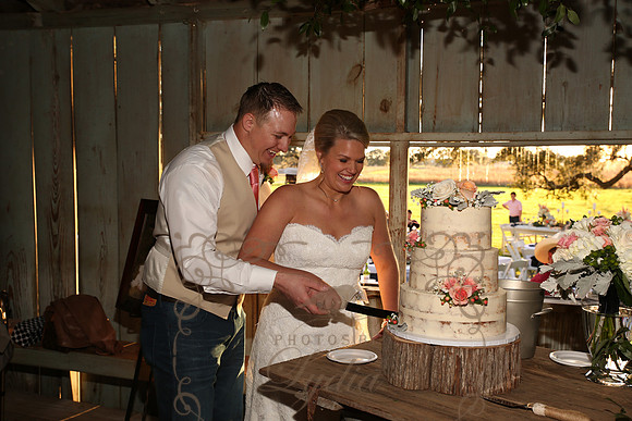 Cake & Toasts (2)