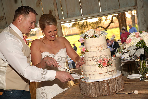 Cake & Toasts (6)
