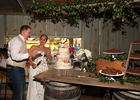 Cake & Toasts (7)