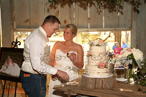 Cake & Toasts (8)