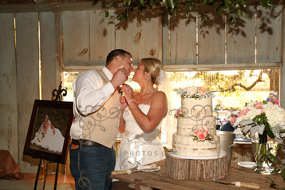 Cake & Toasts (10)