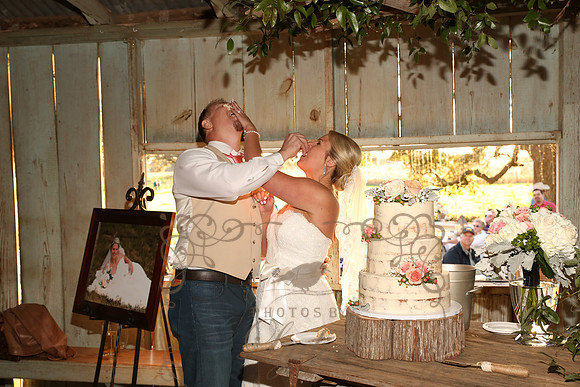 Cake & Toasts (12)