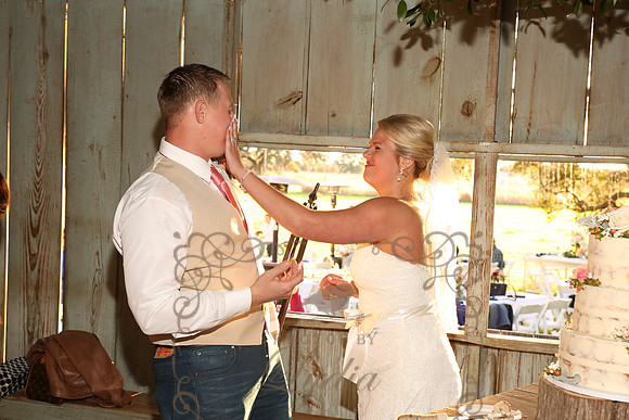 Cake & Toasts (16)