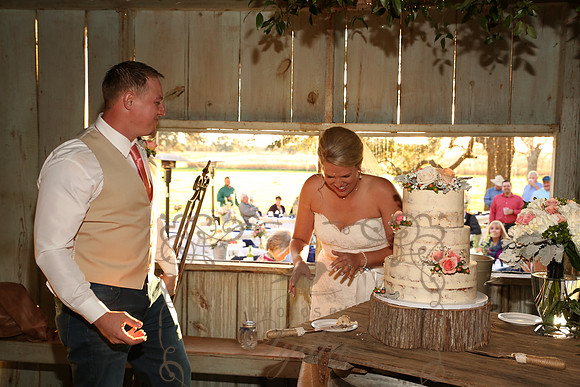 Cake & Toasts (18)