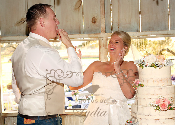 Cake & Toasts (19)