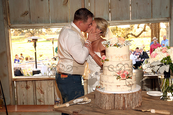 Cake & Toasts (20)