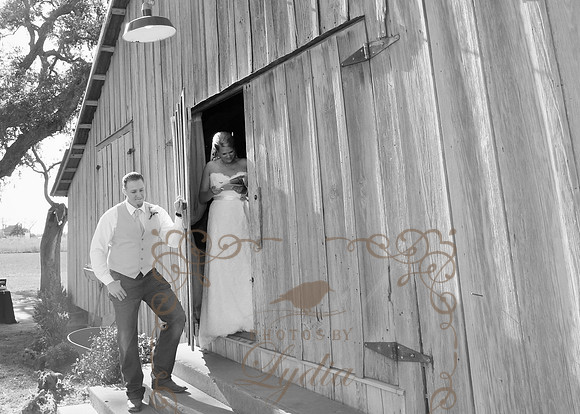 PreCeremony (100)