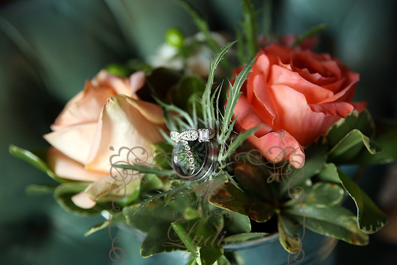 Rings (10)