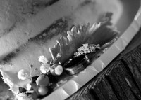 Rings (3)