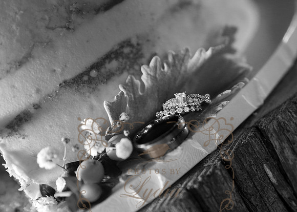 Rings (3)