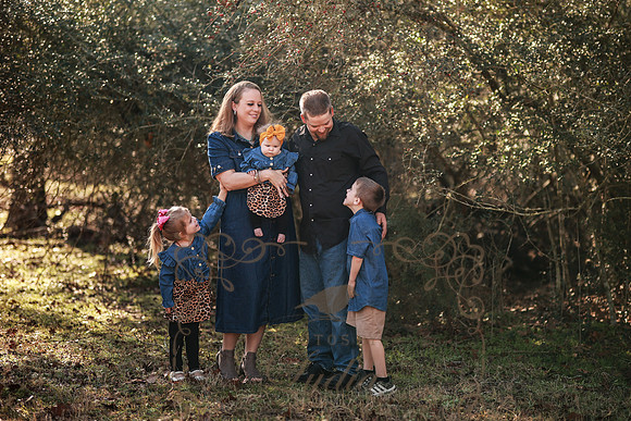 Family-17