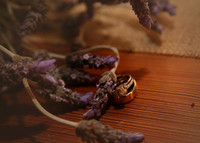 Decor (15)