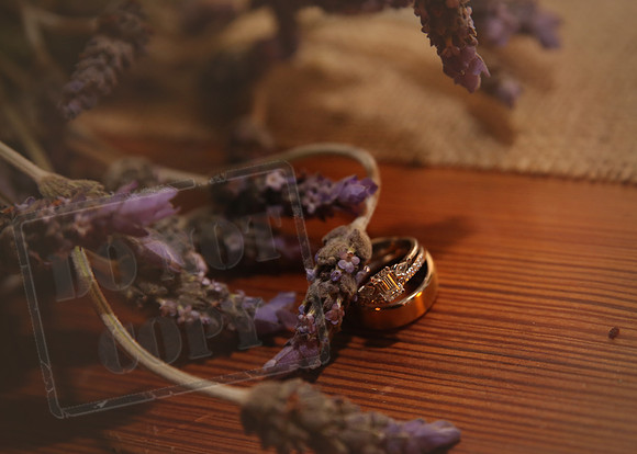 Decor (15)