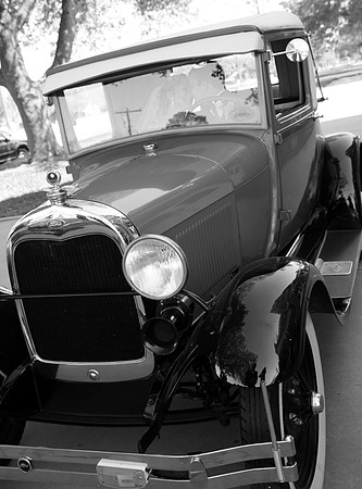 IMG_3764bw