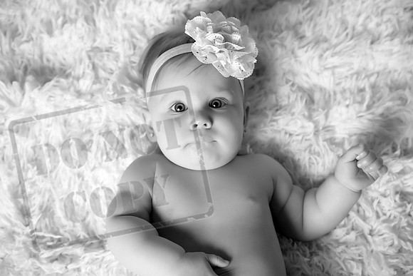 5V3B9865bw