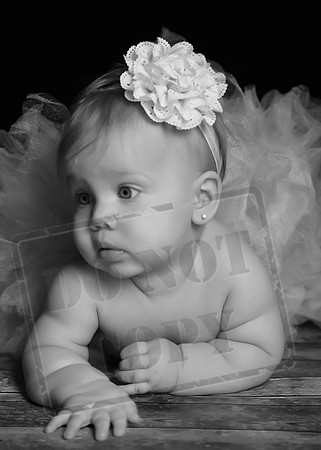 5V3B9902bw