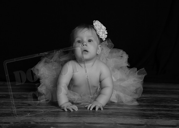 5V3B9907bw