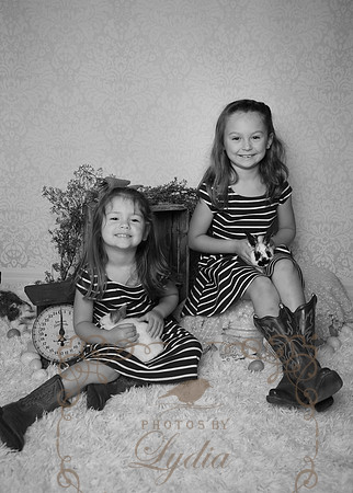 5V3B6367bw