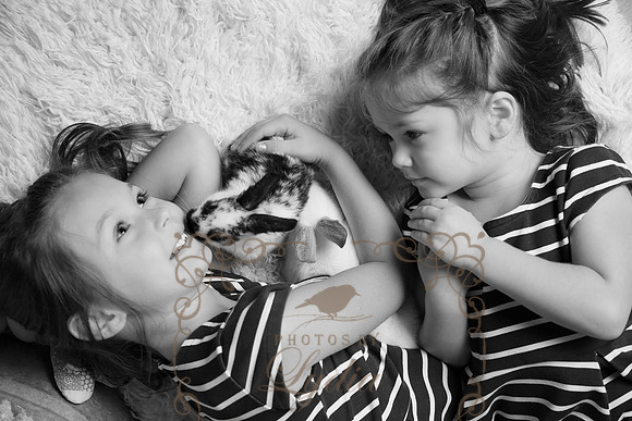 5V3B6384bw