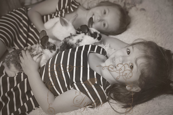 5V3B6403bw