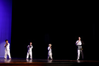 Taekwondo (19)