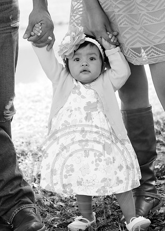 IMG_1505bw