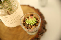Decor (8)