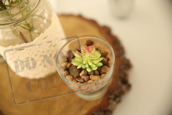 Decor (8)