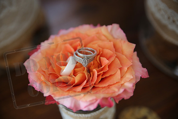 Rings (6)