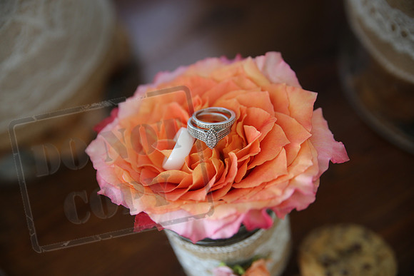 Rings (5)