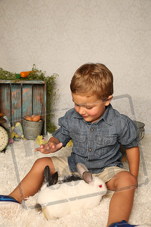 5V3B0650