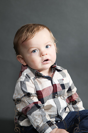 Brant (7)