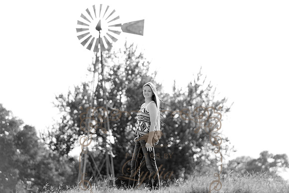 5V3B6607bw